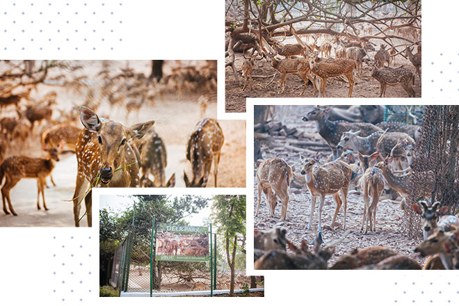 bhubaneswarrajbhavan