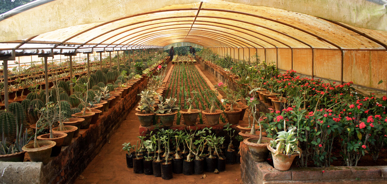 bhubaneswarrajbhavan