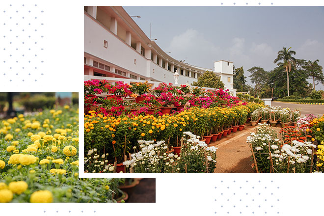 bhubaneswarrajbhavan